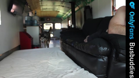busbuddies  07-10-2022